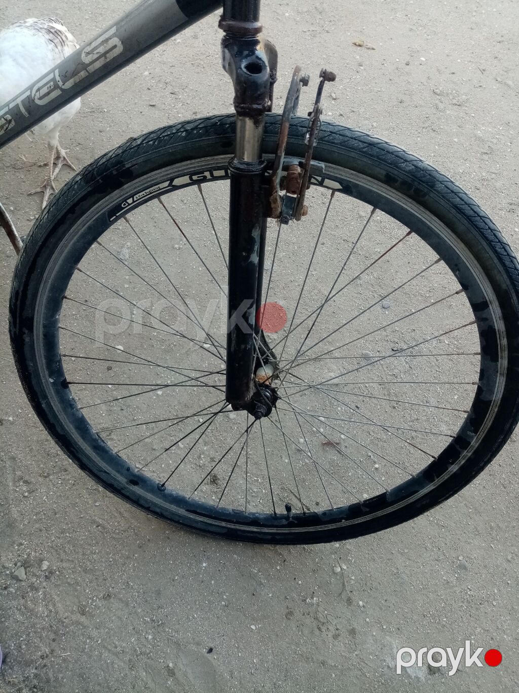 İşlənmiş Şəhər velosipedi Stels, 28", sürətlərin sayı: 1 — Yol velosipedləri, Bakı (2)