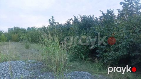 Satılır torpaq 10 sot — Xaçmaz