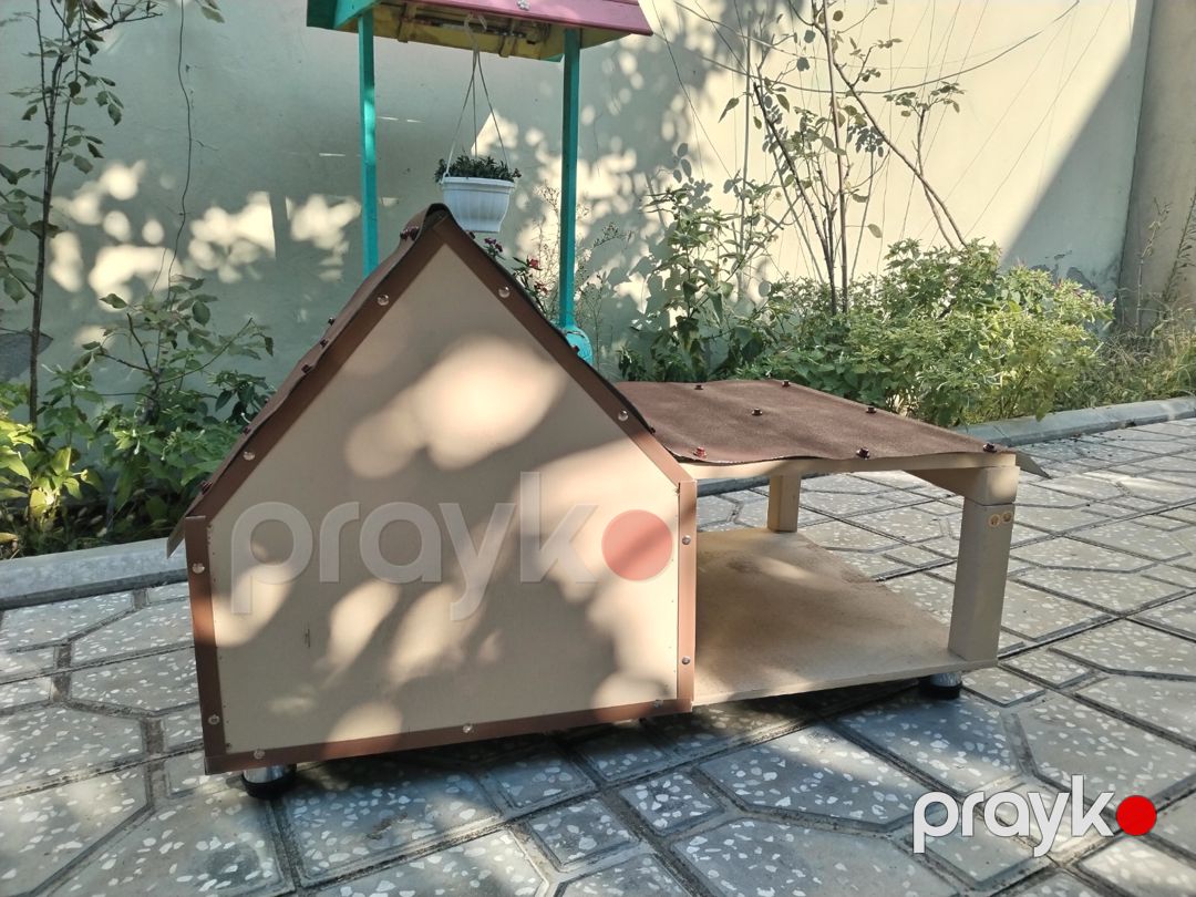 İt və pişiklər üçün yuva — Heyvan malları, Bakı (5)