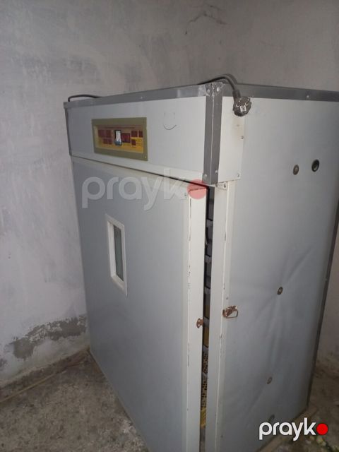 Inkubator — Bakı