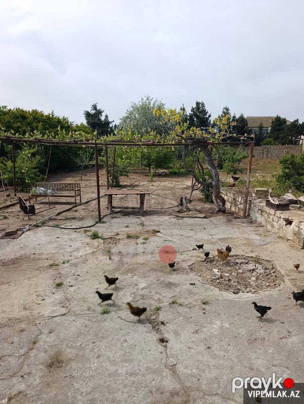 Sabunçu rayonunda Torpaq Satılır, 9 sot — Torpaq, Bakı (3)