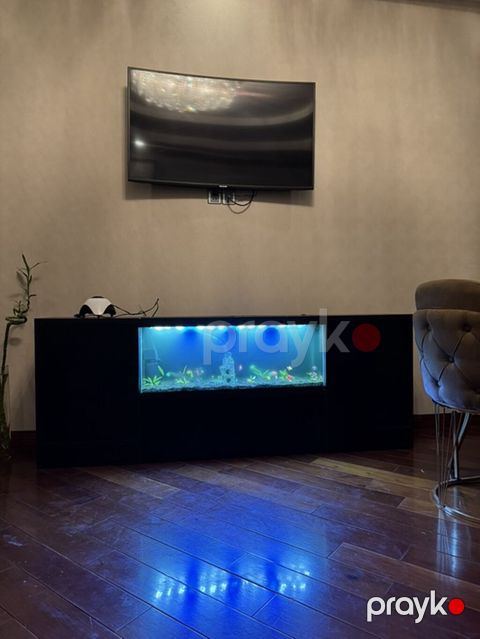 Akvaryum tv stend. – LED işıqlı, dekorativ daş və bitkilərlə — Bakı