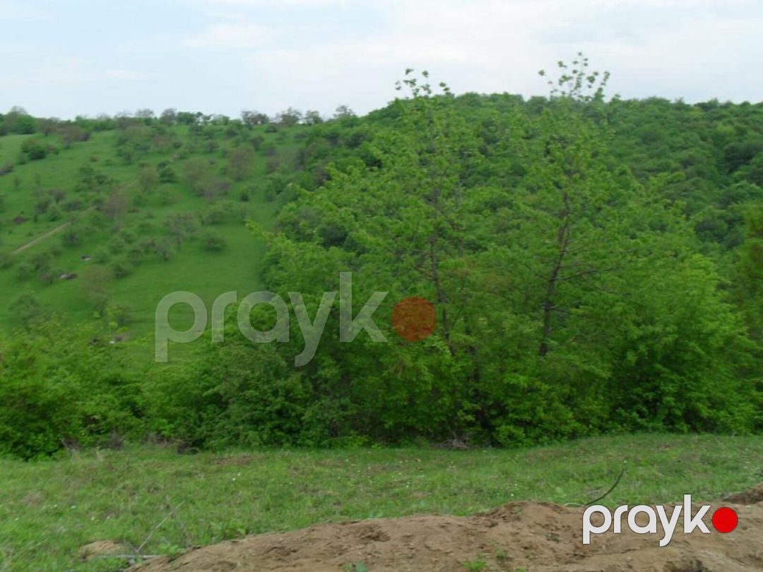 Satılır 2 otaqlı həyət evi/bağ evi 120 m² — Ev, villa, Qusar (4)