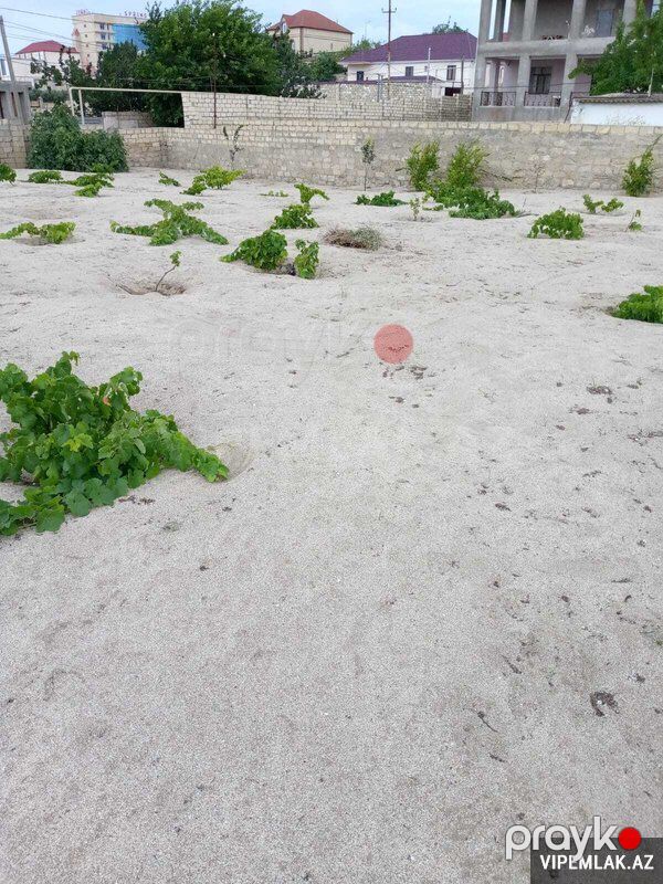 Abşeron rayonunda 9 otaqlı Torpaq Satılır, 11 sot — Torpaq, Bakı (4)