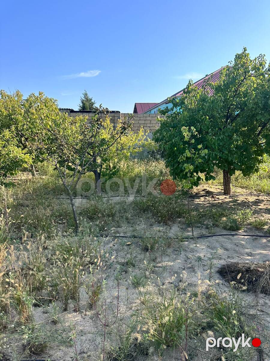 3 sot torpaq sahəsi, Novxanı qəs — Torpaq, Bakı (12)