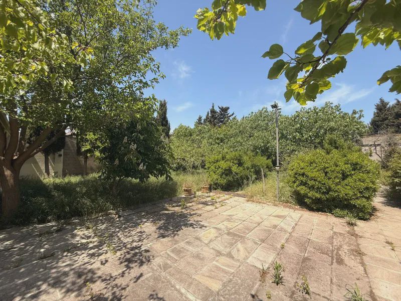 Satılık arsa, 12 sot — Torpaq, Bakı (3)