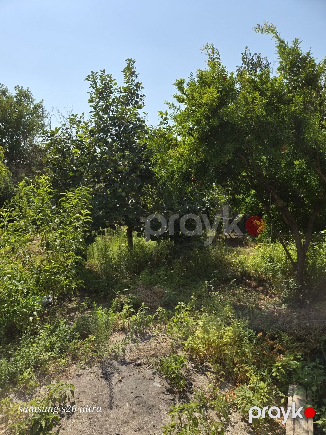 Satılır torpaq 4.5 sot — Torpaq, Sumqayıt (7)