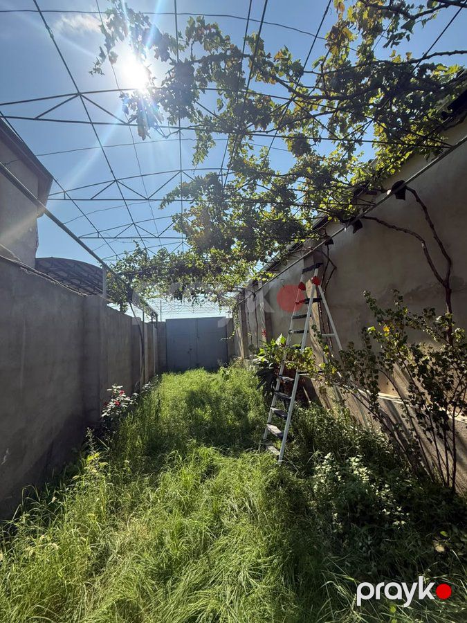Bağ evi, 200 m², Sabunçu r., Bakı — Ev, villa (2)