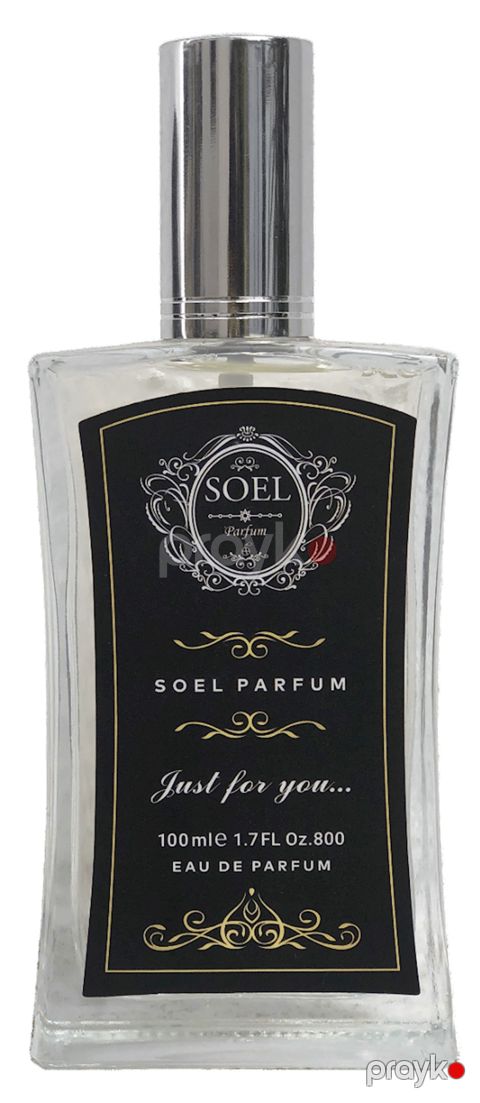 Soel Parfum Tyger E31 kişilər üçün ətir suyu 100 ml — Bakı