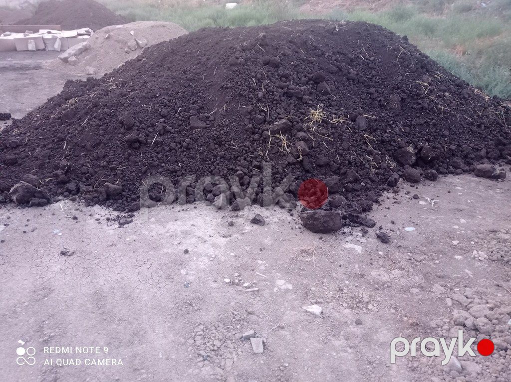 Qara torpaq və peyin — Dacha və bağ, Bakı (6)