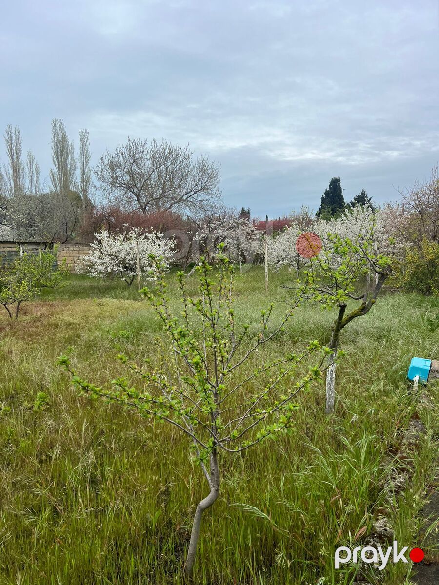 Satılır 4 otaqlı həyət evi/bağ evi 150 m² — Ev, villa, Bakı (11)