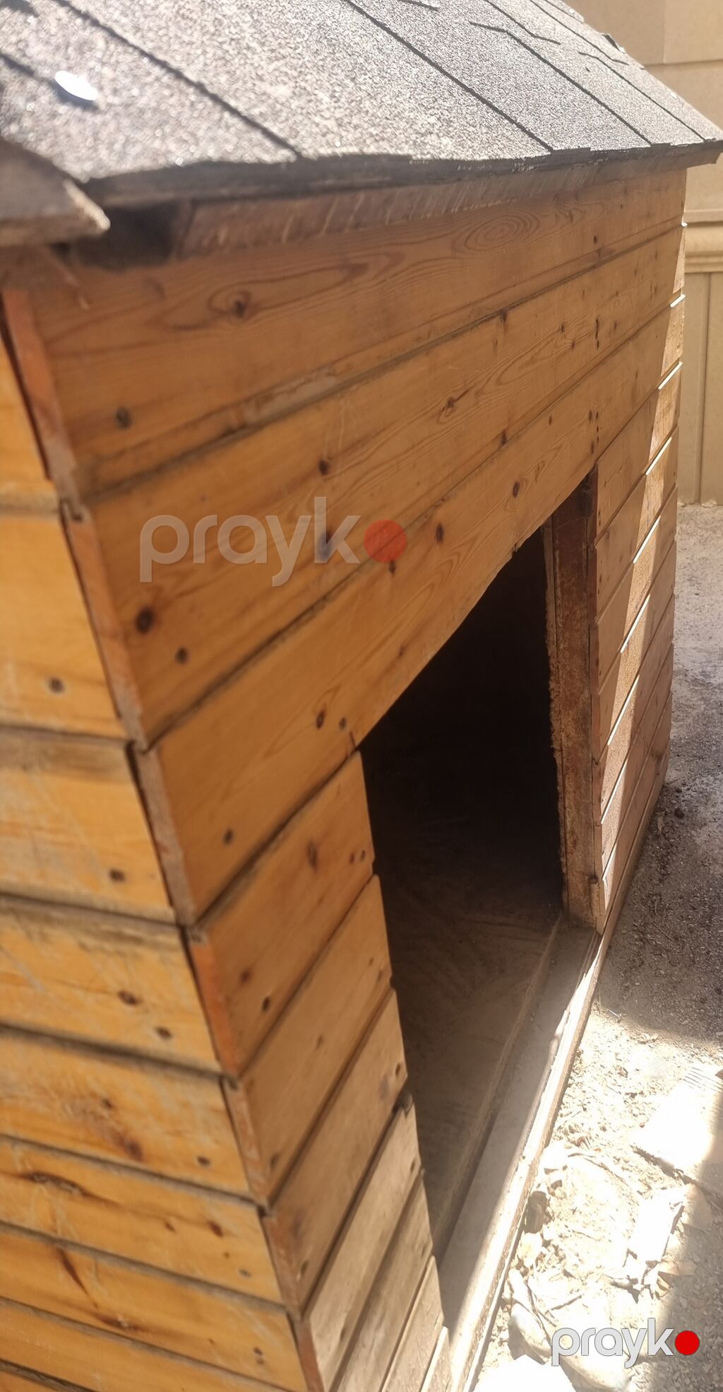 Taxta it evi - Material: təbii taxta panellər, möhkəm karkas - Dam — Kunalar, Bakı (2)