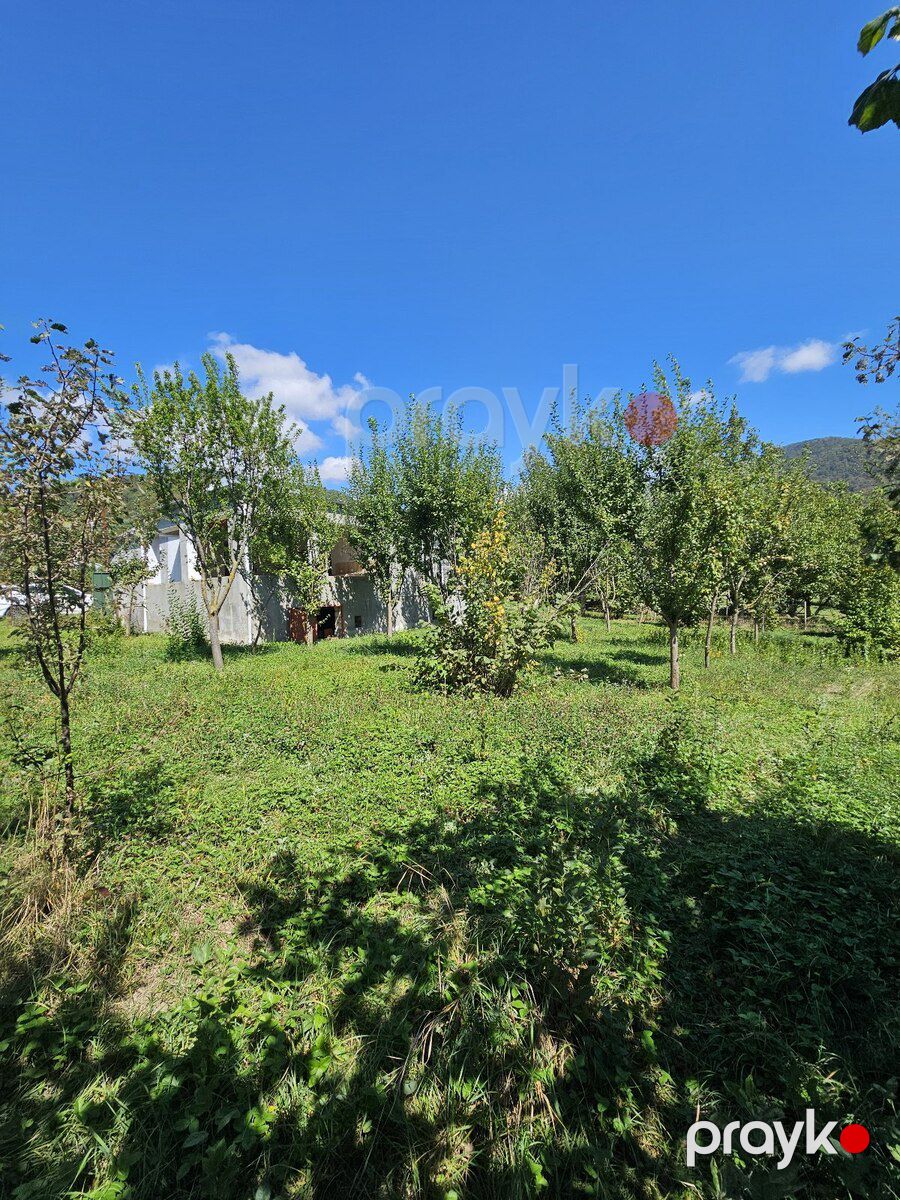 Həyət evi, İsmayıllı r — Ev, villa, İsmayıllı (4)
