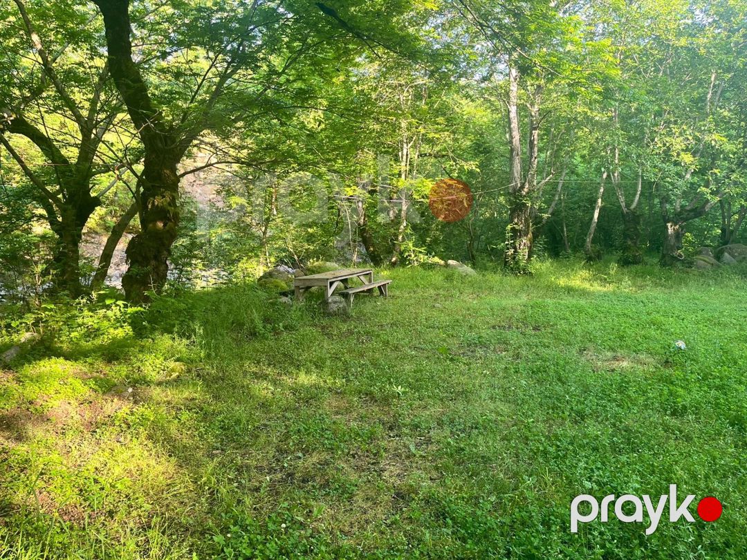Həyət evi kirayə verilir, Lerik r — Ev, villa, Lerik (12)