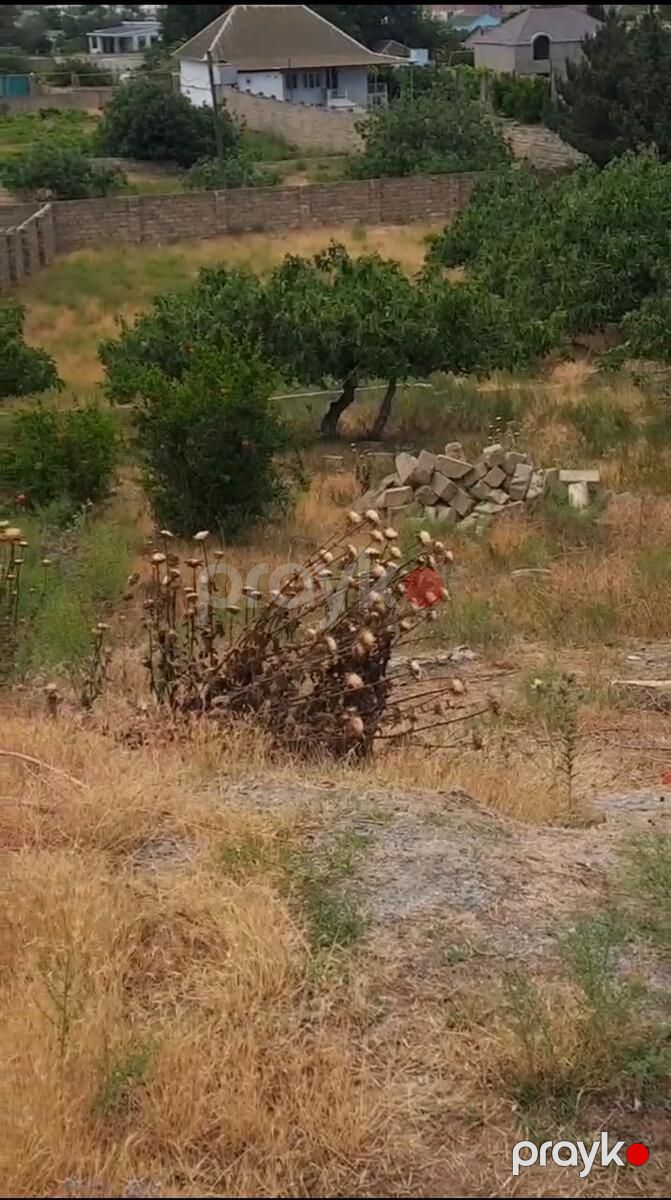Satılır torpaq 10 sot — Torpaq, Bakı (2)