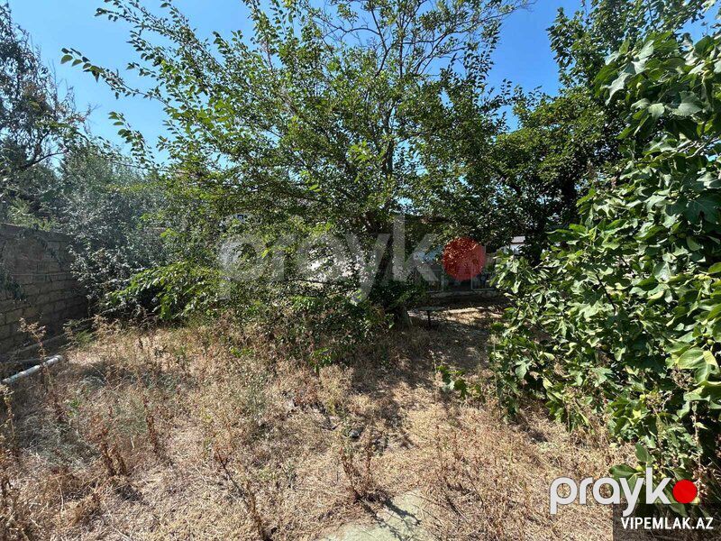 Sabunçu rayonunda Torpaq Satılır, 8 sot — Torpaq, Bakı (3)