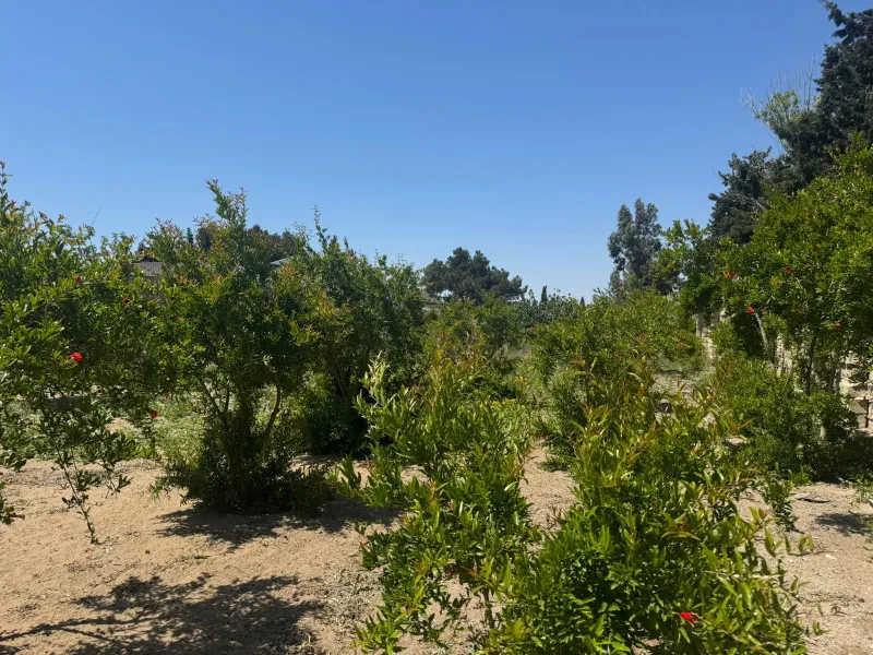 Şüvəlan, Torpaq satılır - 23 sot — Torpaq, Bakı (4)