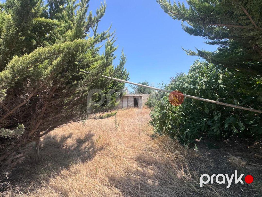 Satılır 8 otaqlı həyət evi/bağ evi 650 m² — Ev, villa, Bakı (7)