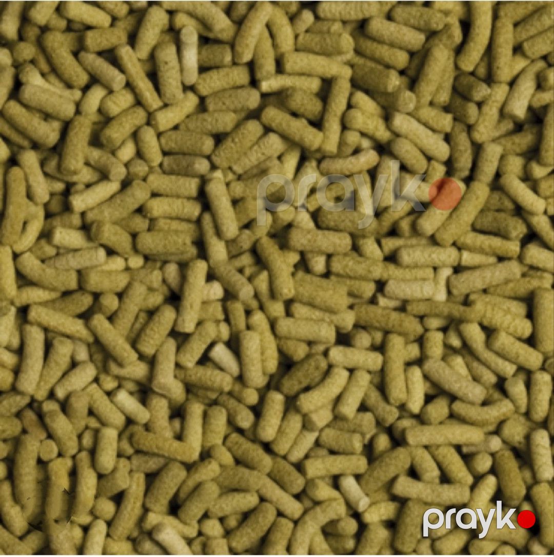 Quru yem sbağaları üçün Tropical Biorept L, yosunlar, 20 q — Mallar, Bakı (2)