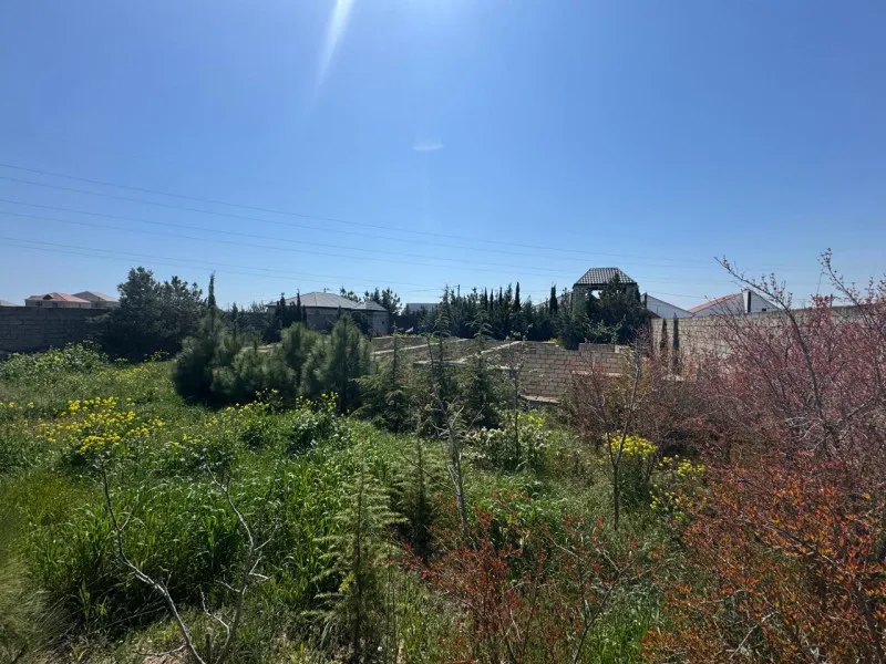 Mərdəkan, Torpaq satılır - 11 sot — Torpaq, Bakı (3)