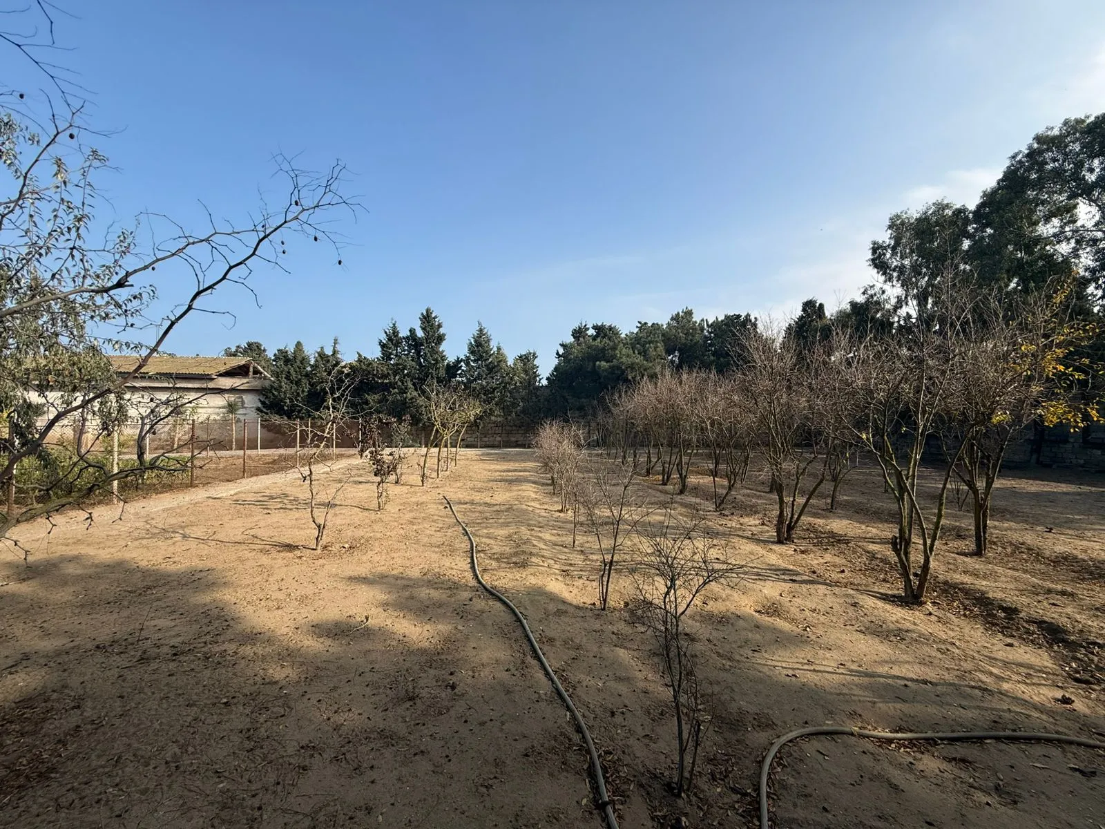 Şüvəlan, Torpaq satılır - 22 sot — Torpaq, Bakı (5)