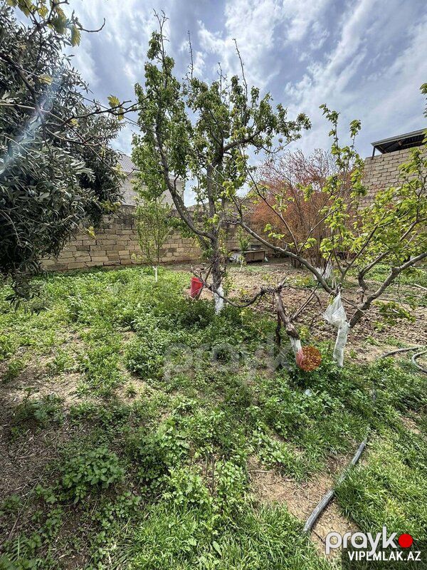 Qaradağ rayonunda 1 otaqlı Torpaq Satılır, 3 sot — Torpaq, Bakı (3)