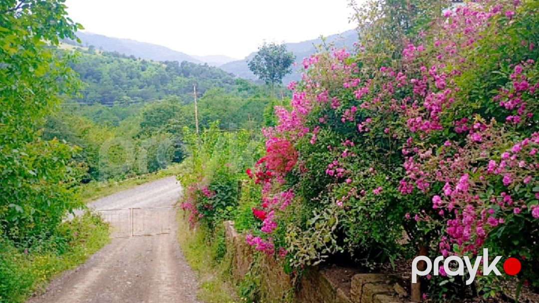 Həyət evi kirayə verilir, Lerik r — Ev, villa, Lerik (9)