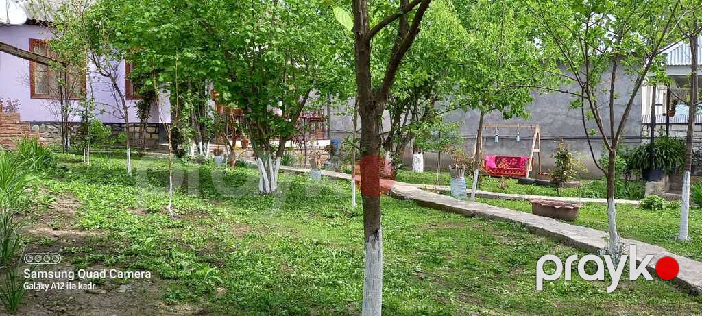 Həyət evi kirayə verilir, Vəndam qəs — Ev, villa, Qəbələ (2)
