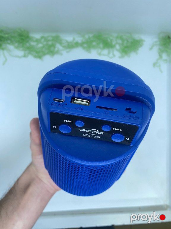 Greatnice GTS-1349 Mini dinamik — Səs texnikası, Bakı (7)