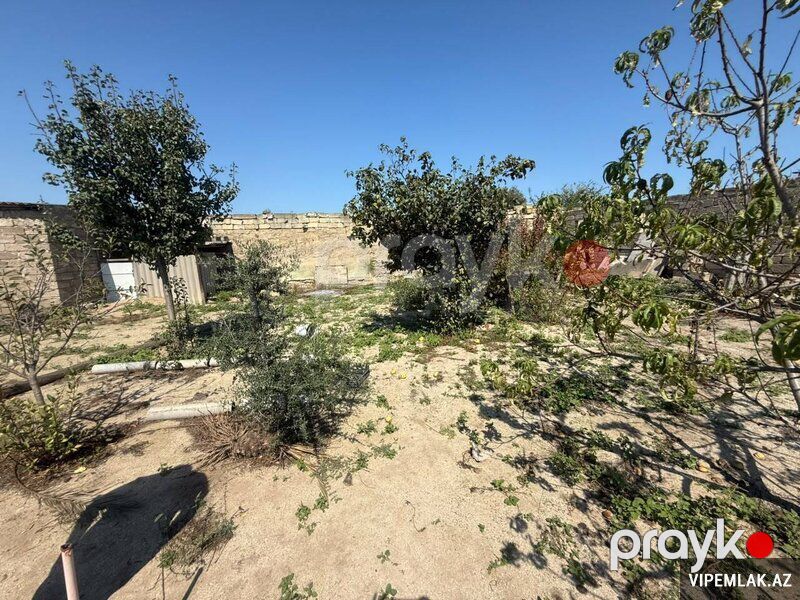 Sabunçu rayonunda Torpaq Satılır, 3 sot — Torpaq, Bakı (4)