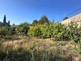 4 sot torpaq sahəsi, Novxanı bağları — Mensum