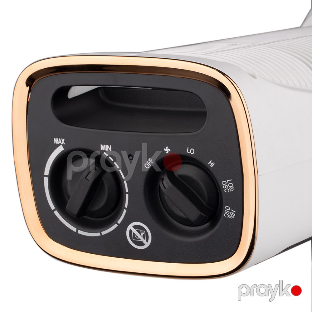 RAF R.1179 Portativ Dönən 2000W Ventilyatorlu Qızdırıcı — Ev texnikası, Bakı (6)