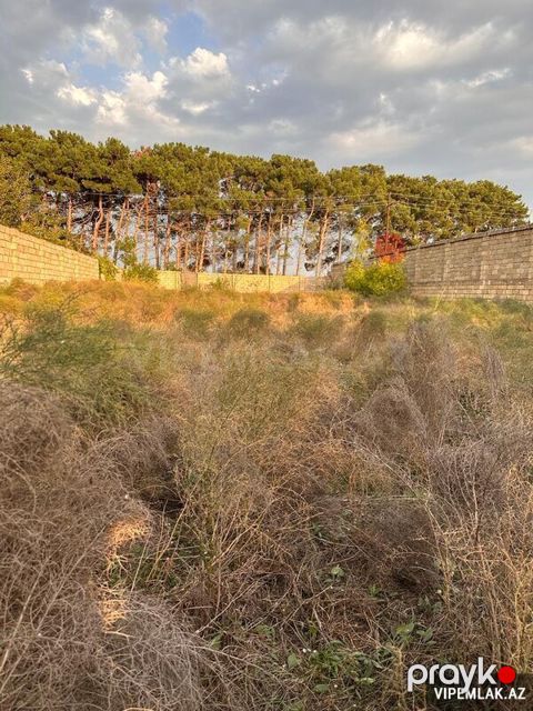 Abşeron rayonunda Torpaq Satılır, 8 sot — Bakı