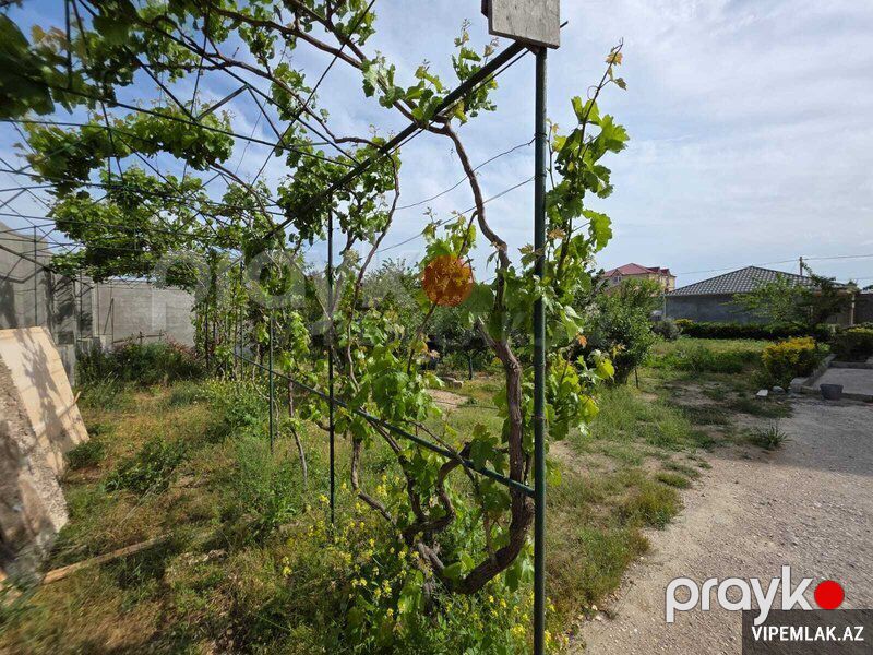 Xəzər rayonunda Torpaq Satılır, 5 sot — Torpaq, Bakı (6)
