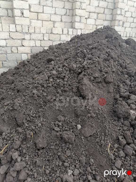 Qara torpaq, yanmış peyin — Dacha və bağ, Bakı (2)