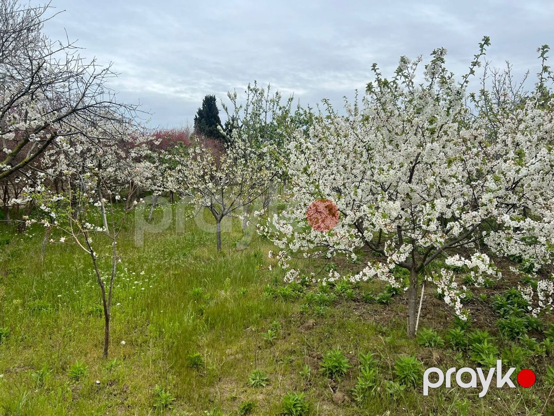 Satılır 4 otaqlı həyət evi/bağ evi 150 m² — Ev, villa, Bakı (12)