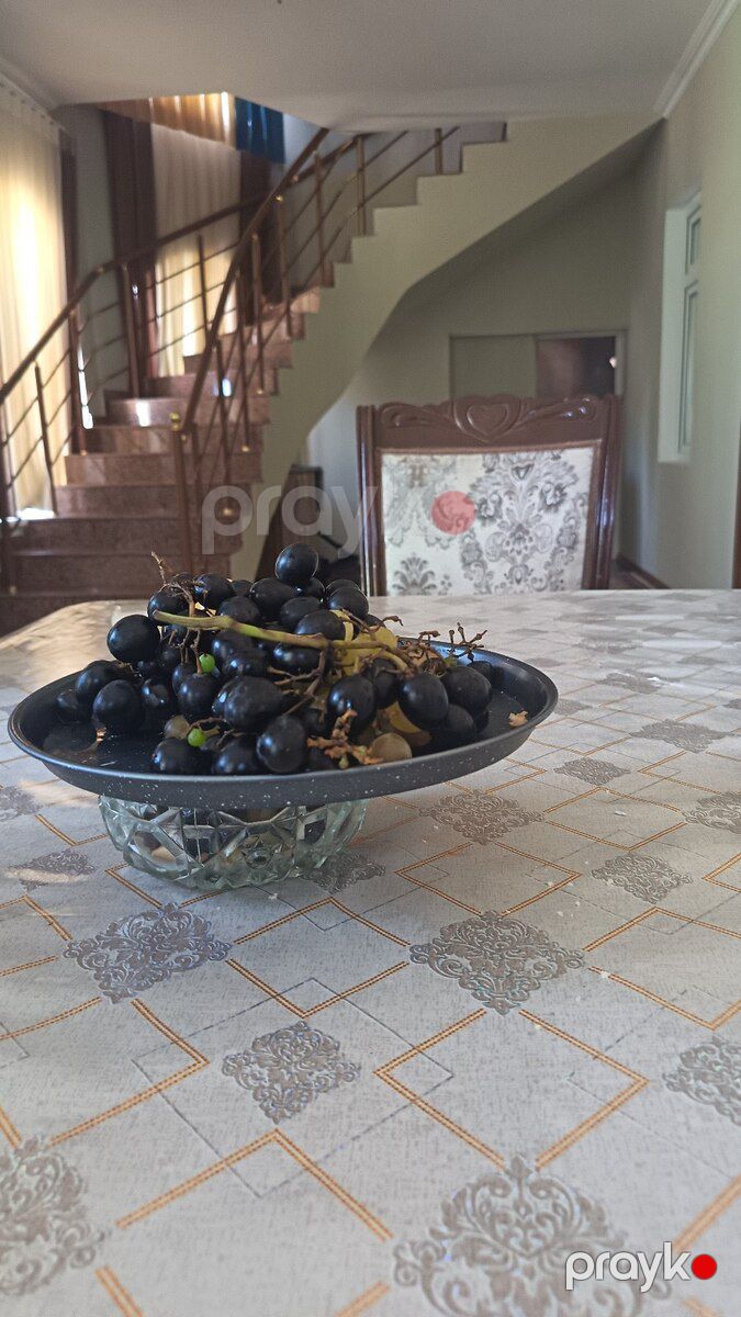 Həyət evi, Qala qəs — Ev, villa, Bakı (8)
