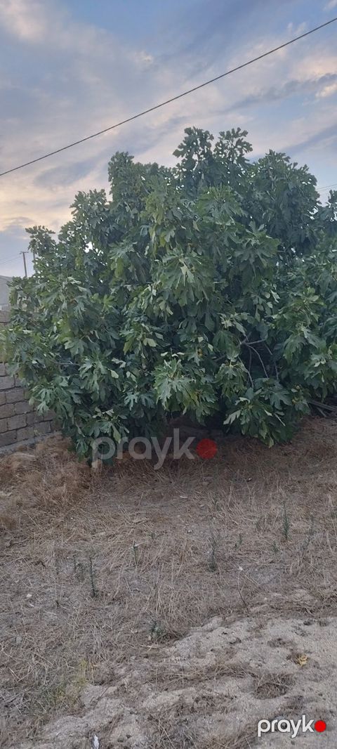 Satılır torpaq 4 sot — Bakı