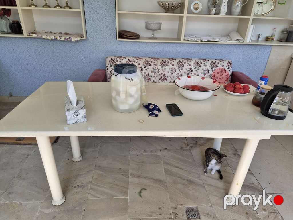 Qonaq masası, İşlənmiş, Açılmayan, Dördbucaq masa — Masalar, Masazır (3)