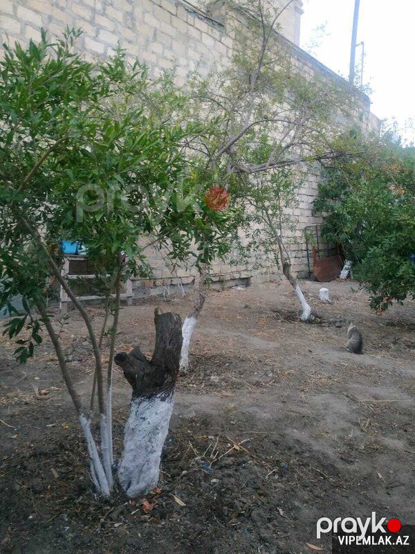 Binəqədi rayonunda 1 otaqlı Torpaq Satılır, 4 sot — Torpaq, Bakı (2)