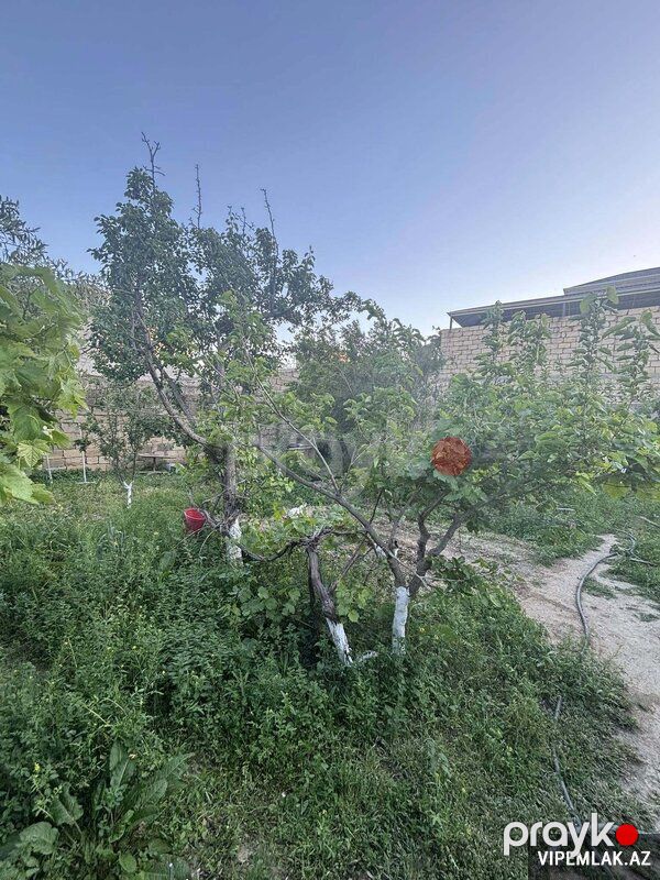 Qaradağ rayonunda 1 otaqlı Torpaq Satılır, 3 sot — Torpaq, Bakı (5)