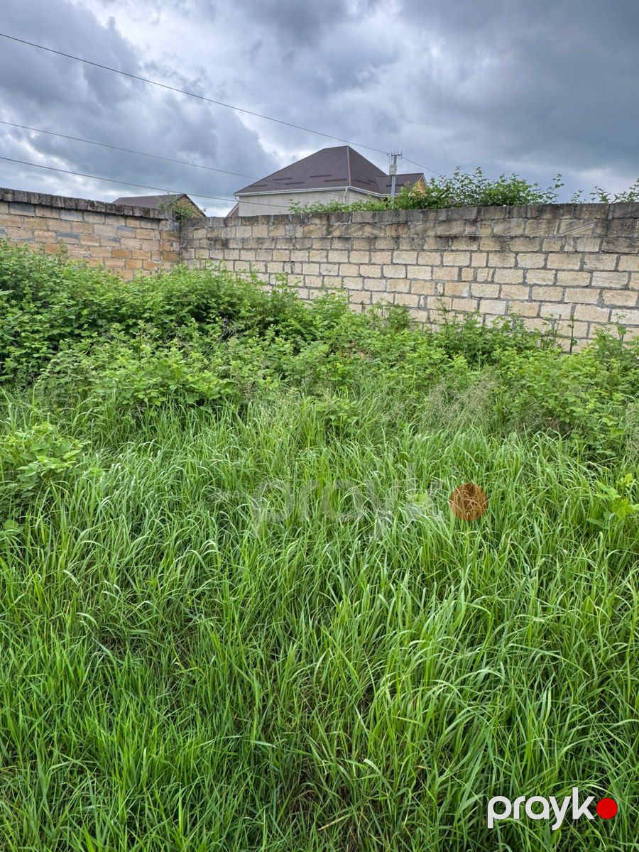 3 sot torpaq sahəsi, Cavanşir küç — Torpaq, Qusar (3)