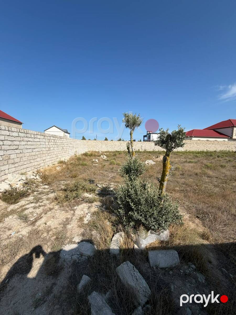 Satılır torpaq 4 sot — Torpaq, Bakı (5)