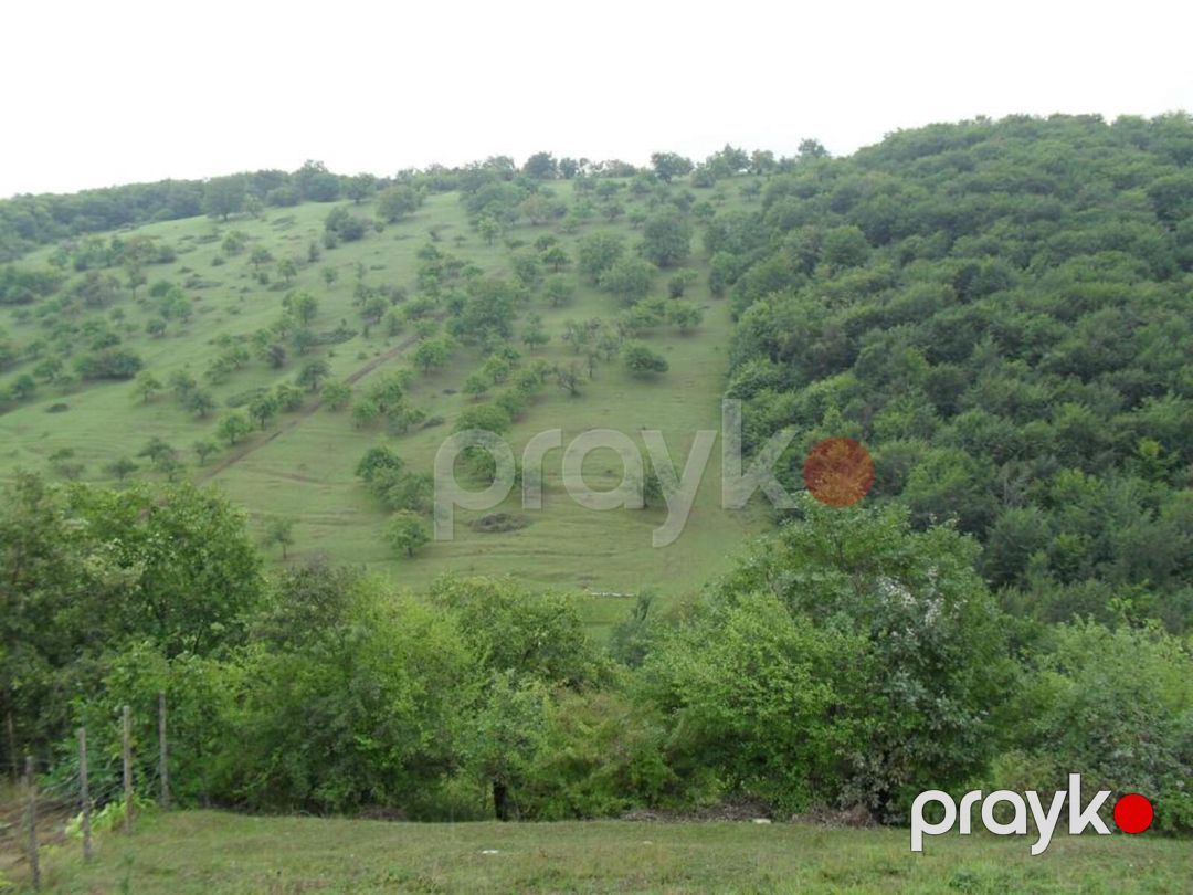 Satılır 2 otaqlı həyət evi/bağ evi 120 m² — Ev, villa, Qusar (12)