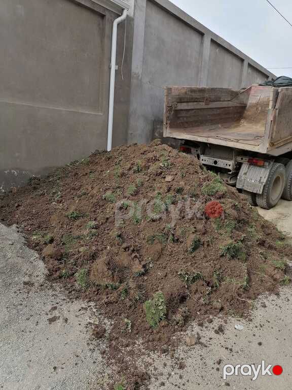 Qara torpaq, yanmış peyin — Dacha və bağ, Bakı (5)