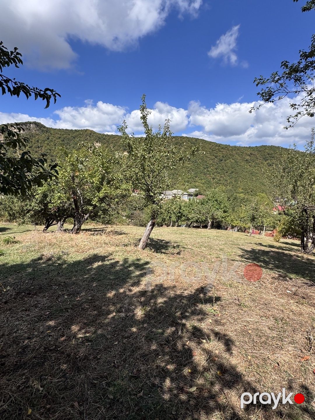 Satılır torpaq 27 sot — Torpaq, İsmayıllı (5)