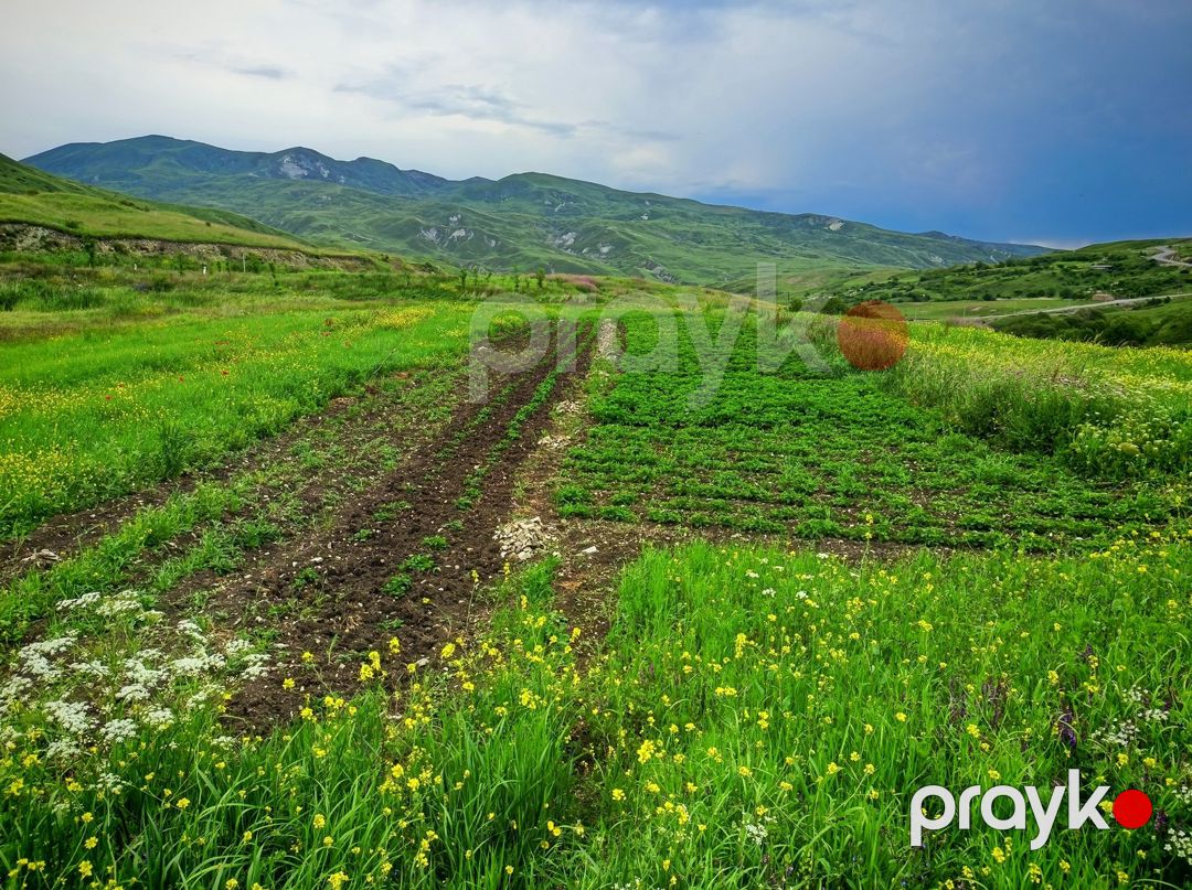 151 sot torpaq sahəsi, Şamaxı r — Torpaq, Şamaxı (4)