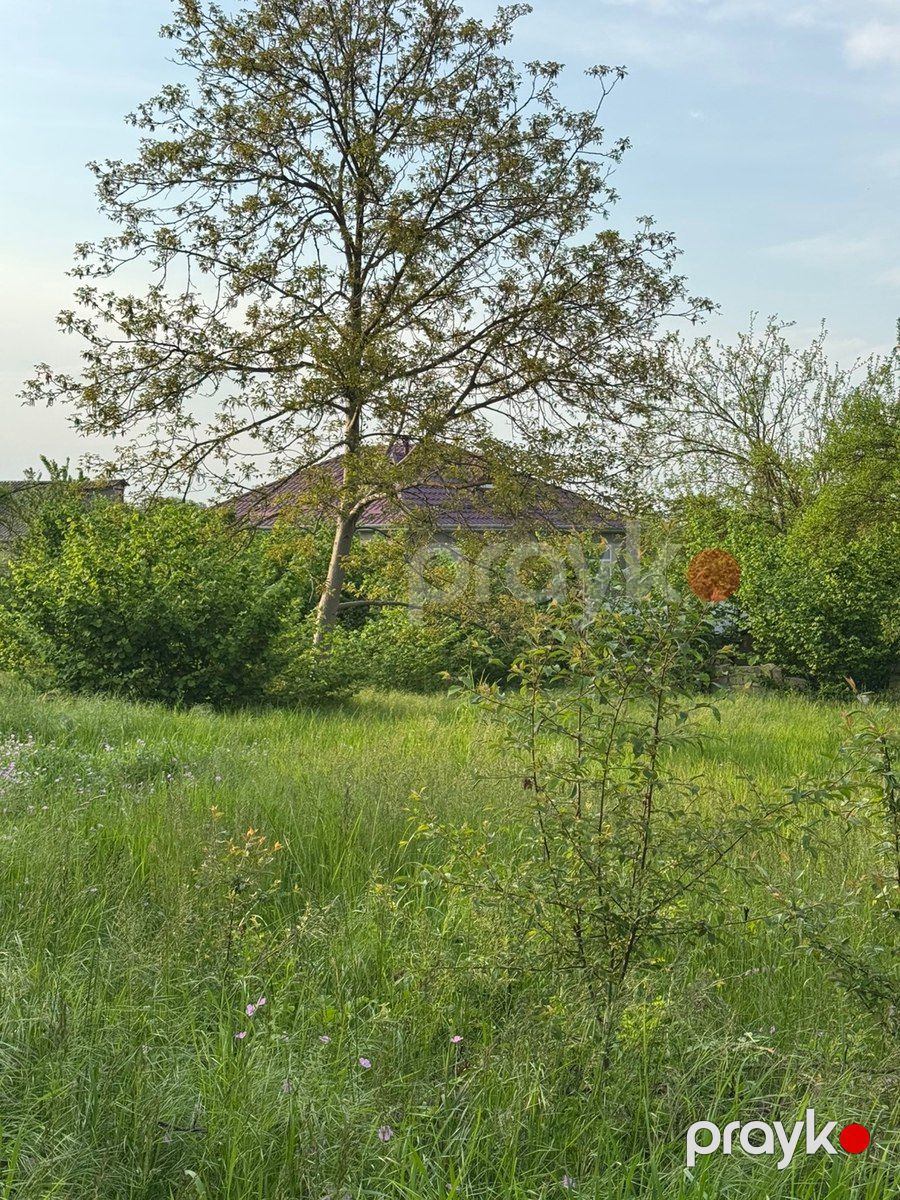 20 sot torpaq sahəsi, Qusar r — Torpaq, Qusar (7)