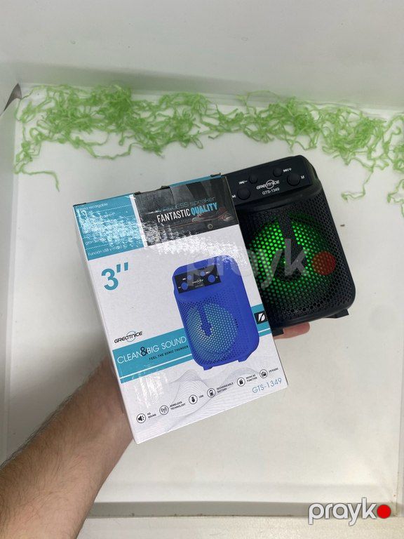 Greatnice GTS-1349 Mini dinamik — Səs texnikası, Bakı (2)
