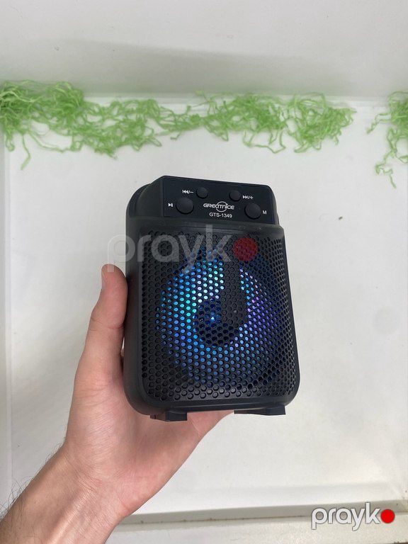 Greatnice GTS-1349 Mini dinamik — Səs texnikası, Bakı (5)